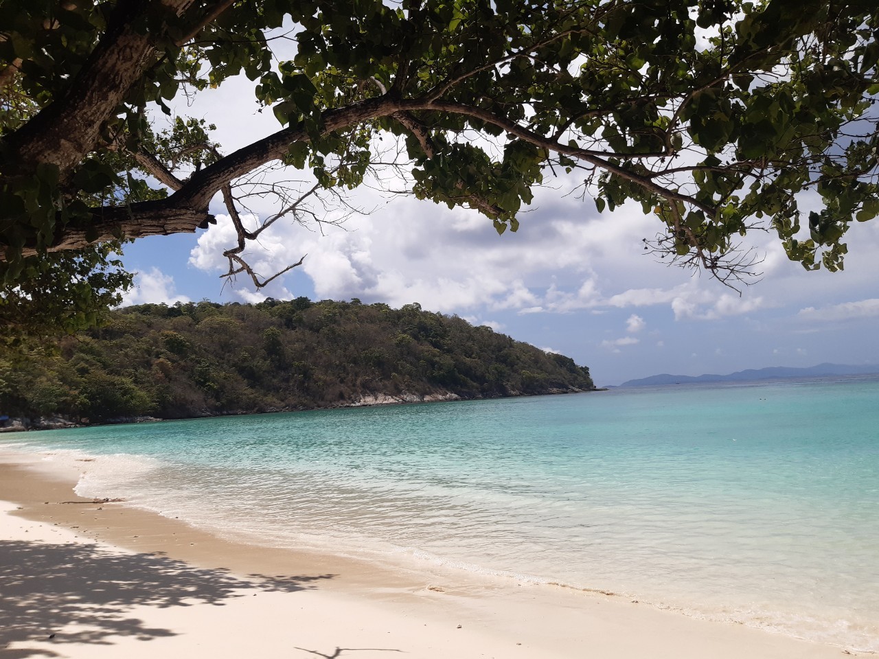 Quiet white sand beach and clear shallows on an island tour